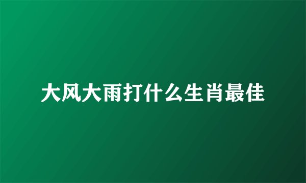 大风大雨打什么生肖最佳