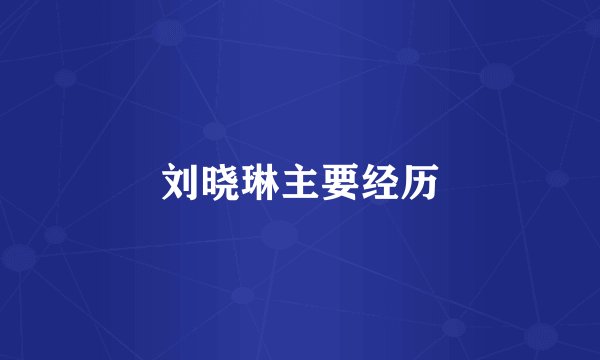 刘晓琳主要经历