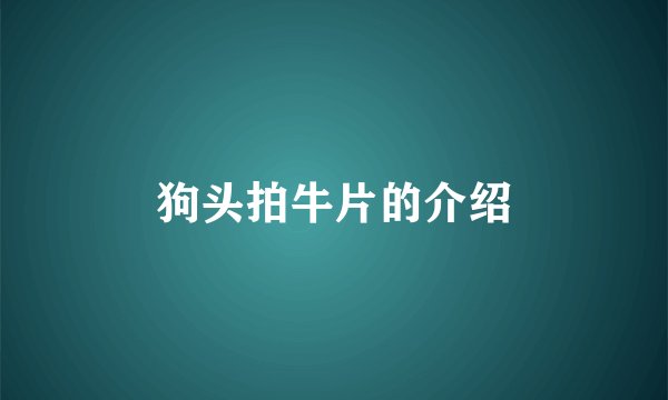 狗头拍牛片的介绍