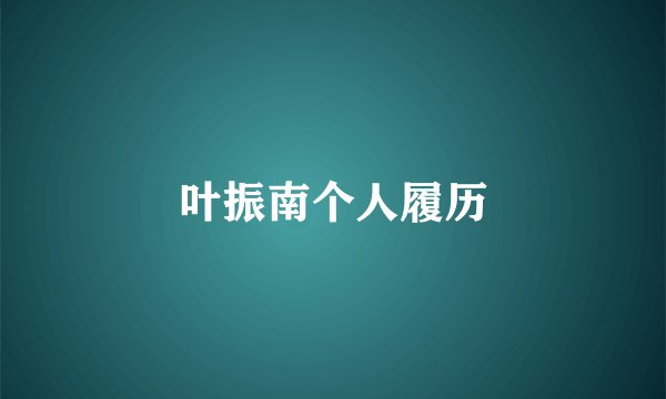 叶振南个人履历