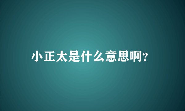 小正太是什么意思啊？