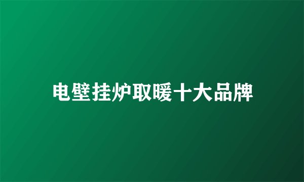 电壁挂炉取暖十大品牌