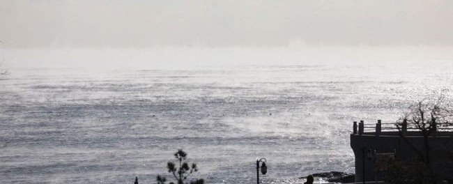 海水沸腾！岛城现“海浩”奇观，专家对此有何解释？