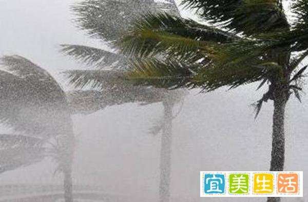 每小时15公里速度前进,超强台风“烟花”来袭,25日将在沿海登陆