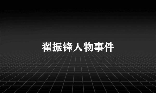 翟振锋人物事件