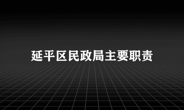 延平区民政局主要职责