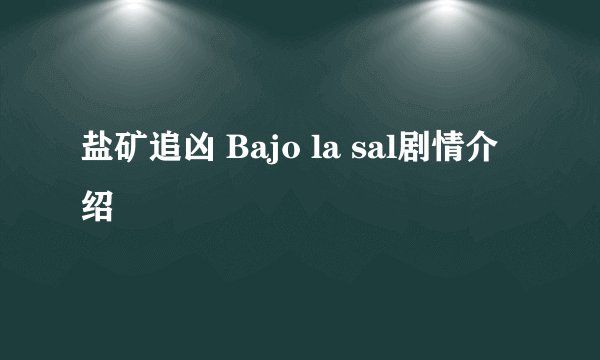 盐矿追凶 Bajo la sal剧情介绍