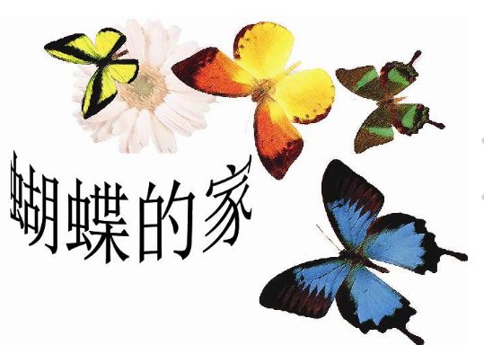 《蝴蝶的家》可以提出哪些问题?