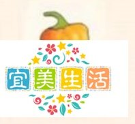 摩尔庄园怎么做浆果捞