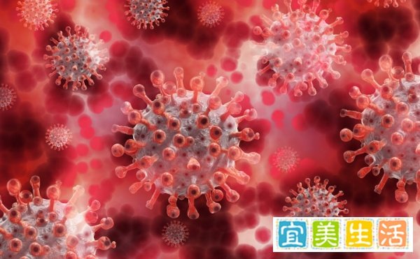 心怀荣耀,勇往直前!Cleer祝贺大师音质王牌电竞官一诺(徐必成)再捧冠军奖杯!