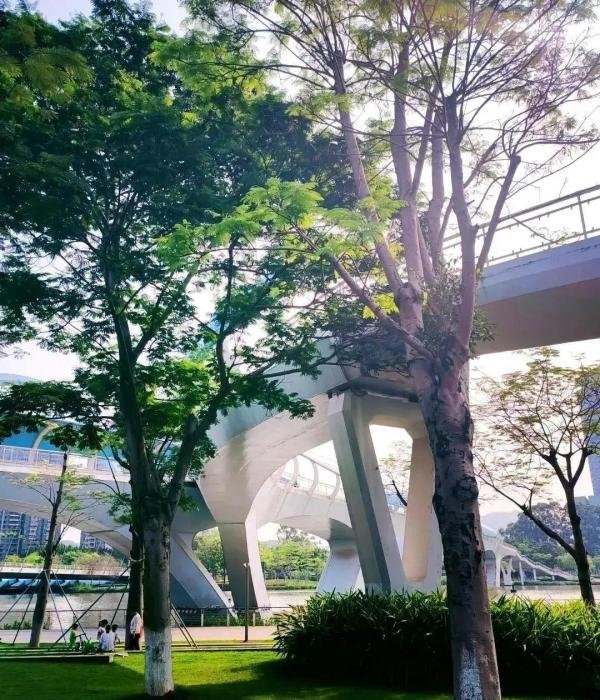广州又一“高颜值”公园走红，是南沙“最靓的仔”，奉旨钓鱼，可过夜露营，地铁直达，免费