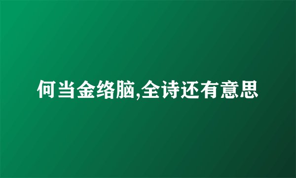 何当金络脑,全诗还有意思