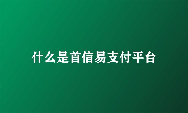 什么是首信易支付平台