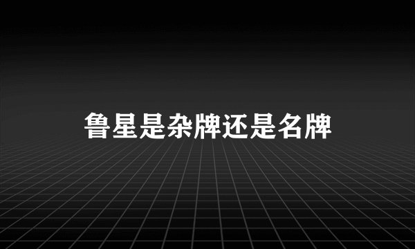 鲁星是杂牌还是名牌