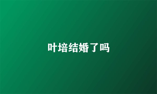 叶培结婚了吗
