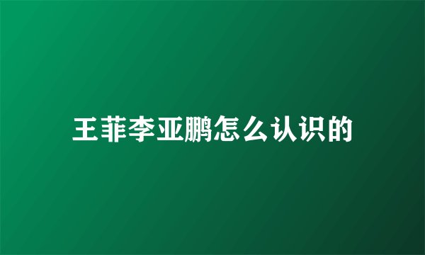 王菲李亚鹏怎么认识的