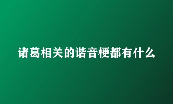 诸葛相关的谐音梗都有什么
