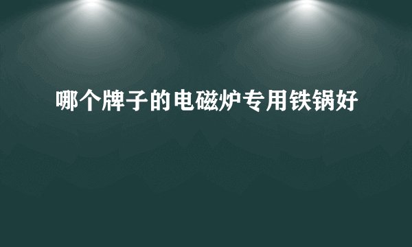 哪个牌子的电磁炉专用铁锅好