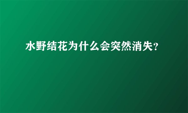 水野结花为什么会突然消失？