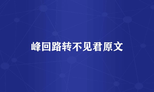 峰回路转不见君原文