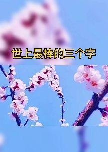 什么是缘分