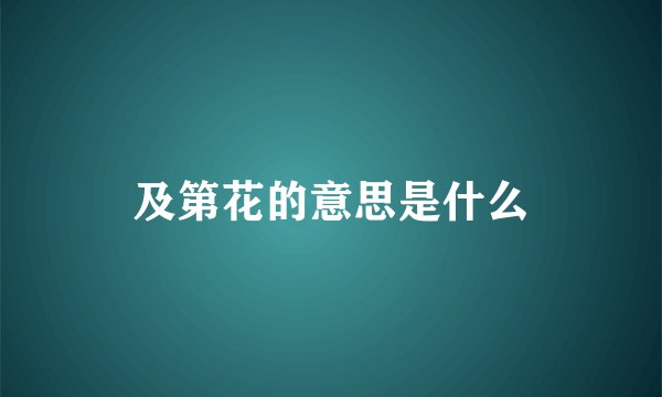 及第花的意思是什么