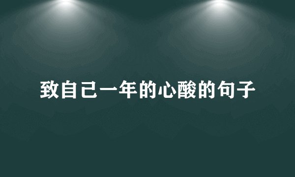 致自己一年的心酸的句子