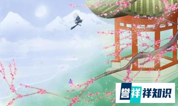 曾仕强教授讲解易经的奥秘,5句话分享易经的精髓