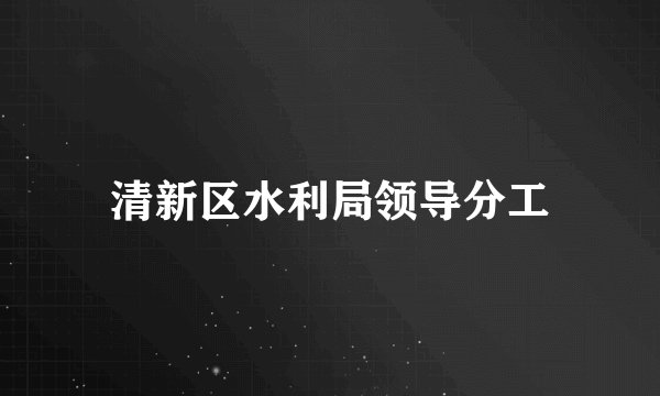 清新区水利局领导分工