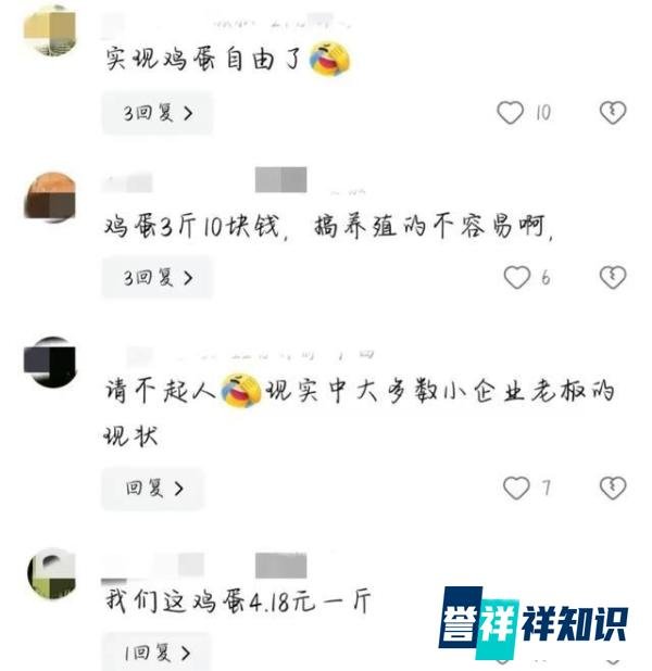 夫妻养2.8万只鸡，为省人工成本自己捡蛋，1分钟徒手捡180个蛋！