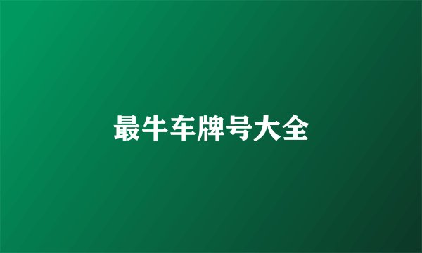 最牛车牌号大全