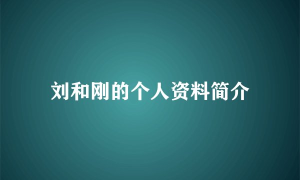 刘和刚的个人资料简介