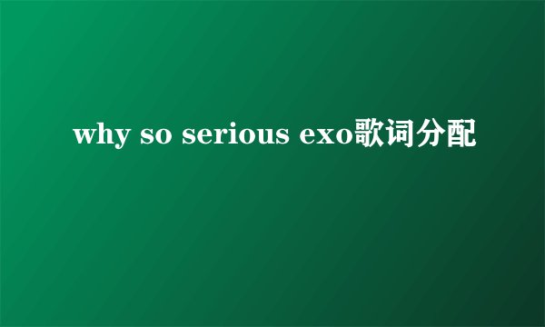 why so serious exo歌词分配