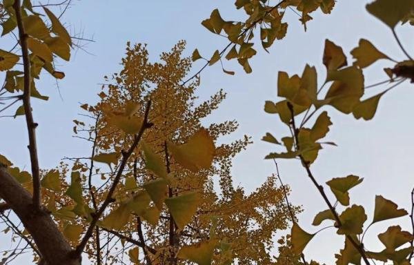 人生最重要的是什么？中年后才懂得：要想“善始善终”，必备3法