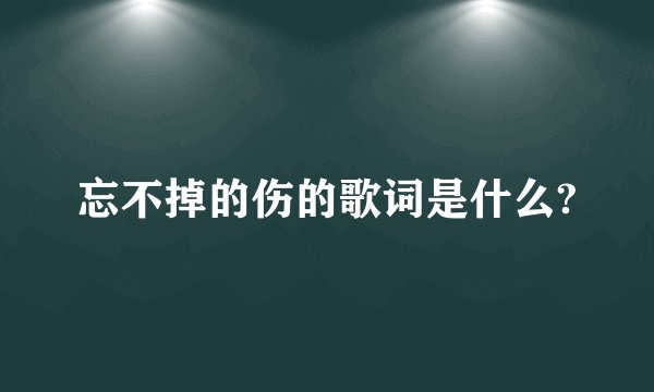 忘不掉的伤的歌词是什么?