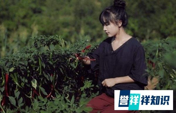 她是国内第一网红,停更数月曾对资本表示宣泄,如今获得央视力挺
