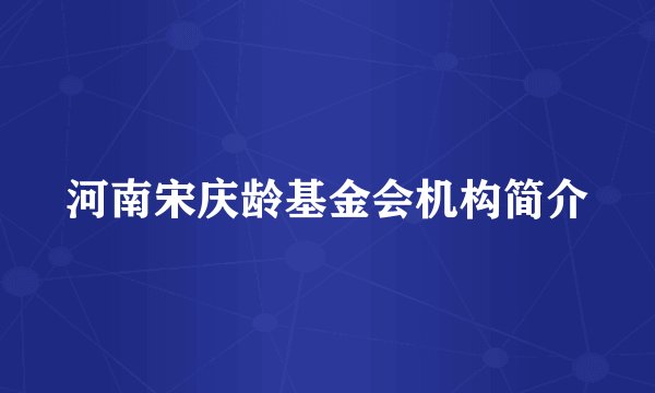 河南宋庆龄基金会机构简介