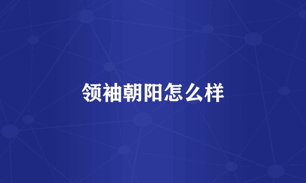 领袖朝阳怎么样