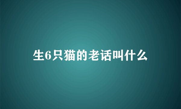 生6只猫的老话叫什么