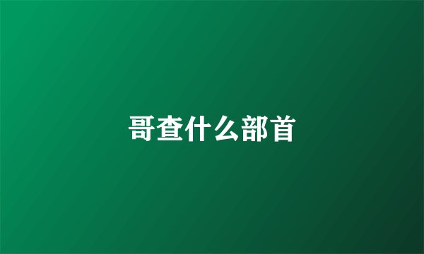 哥查什么部首