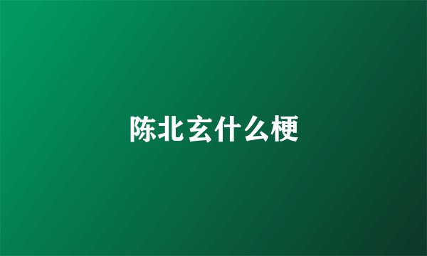 陈北玄什么梗