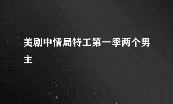 美剧中情局特工第一季两个男主