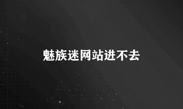 魅族迷网站进不去