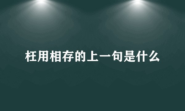枉用相存的上一句是什么