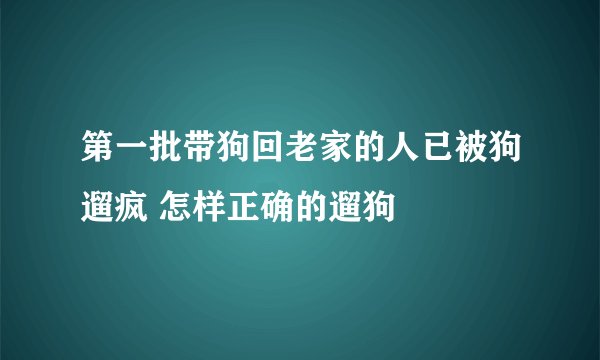 第一批带狗回老家的人已被狗遛疯 怎样正确的遛狗