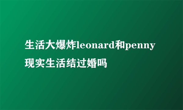 生活大爆炸leonard和penny现实生活结过婚吗