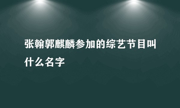 张翰郭麒麟参加的综艺节目叫什么名字