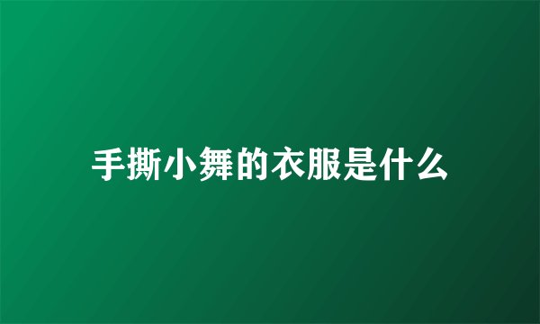手撕小舞的衣服是什么