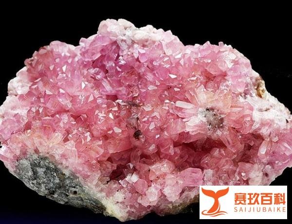 中国股市：真正称得上“新能源”的龙头企业，目前只有这5家