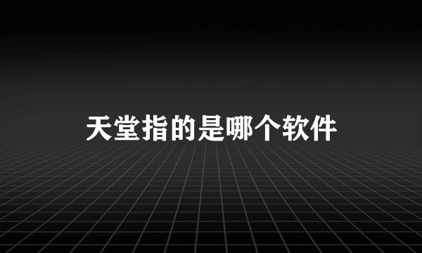 天堂指的是哪个软件